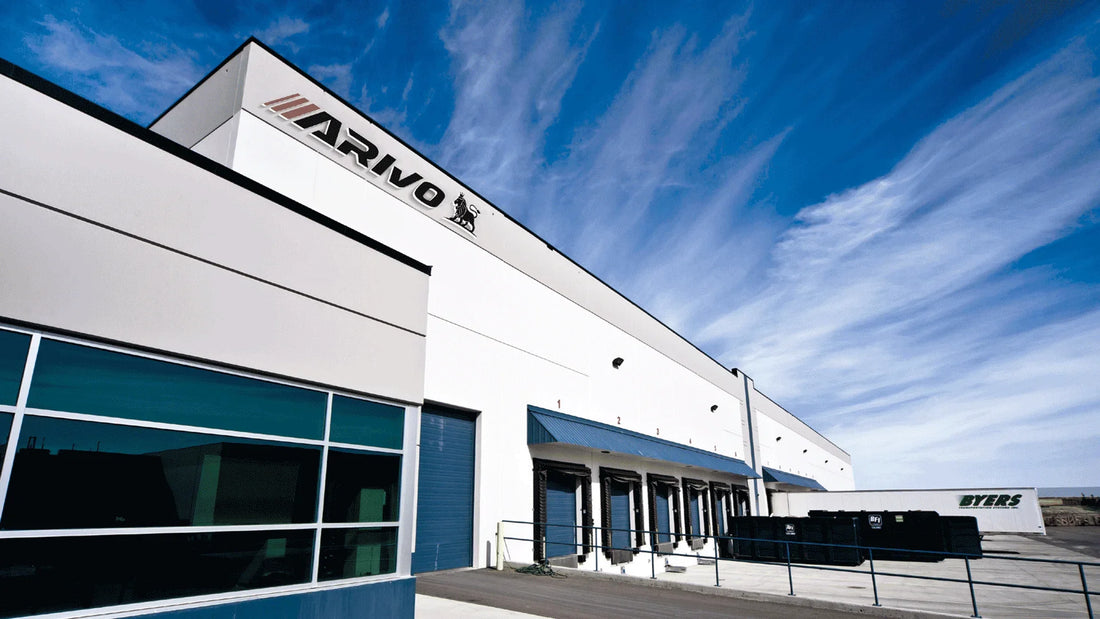 Are Arivo Tires a Good Choice for Your EV or Daily Driver? - Axon Distribution