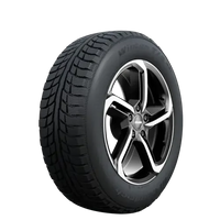 BF GOODRICH WINTER T/A KSI 205/65R15 94T