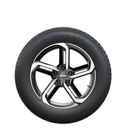 BF GOODRICH WINTER T/A KSI 205/65R15 94T